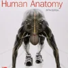 Test Bank For Human Anatomy